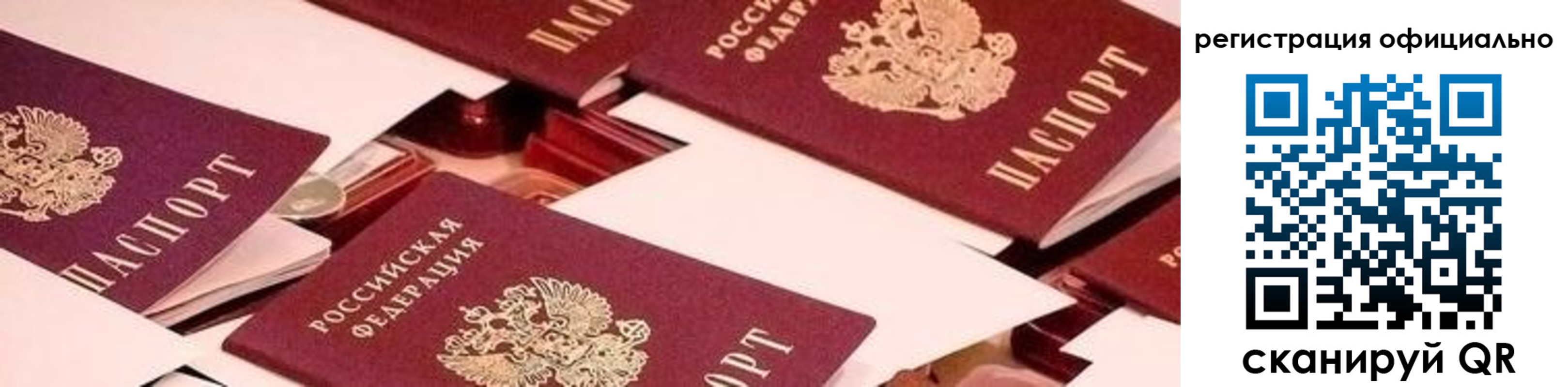 прописка для школы в Коврове